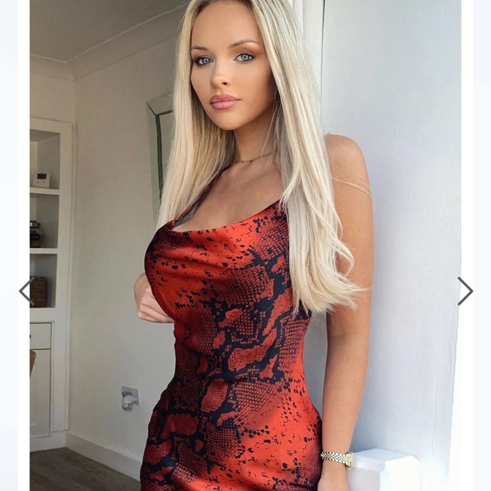 Fashion Nova- Beautiful Satin mini dress